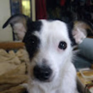 Meet your Posher, Kristine